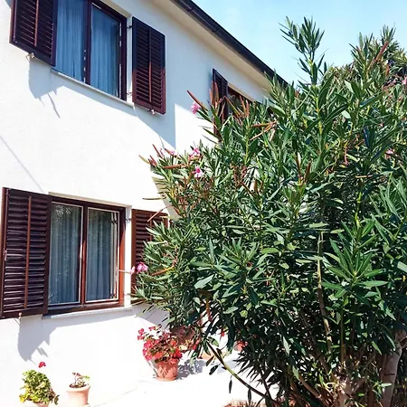 In - Istrien 11479 Apartament Rovinj